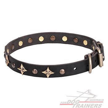 Dog leather collar with bronze plated stars and studs