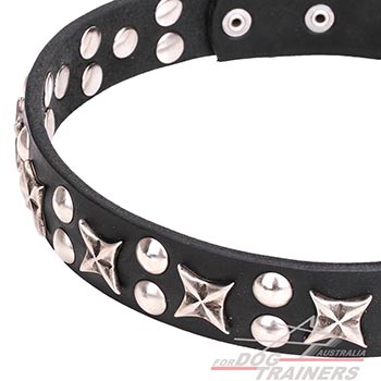 Everyday use leather canine collar with decorations