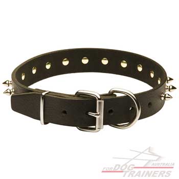 Leather collar for dogs with ruft-proof hardware