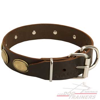Oval brass plates leather fashion collar