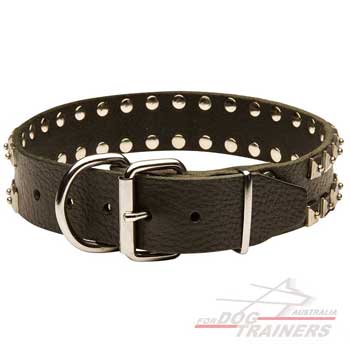 Dog collar with D-ring for a leash