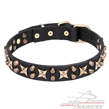 Durable leather dog collar with old-style decorations