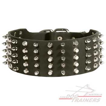 Dog leather collar with spikes and pyramids