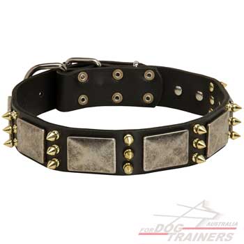 Vintage Spiked Dog Collar with Plates