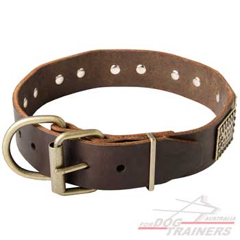 Dog leather collar with easy adjustable buckle