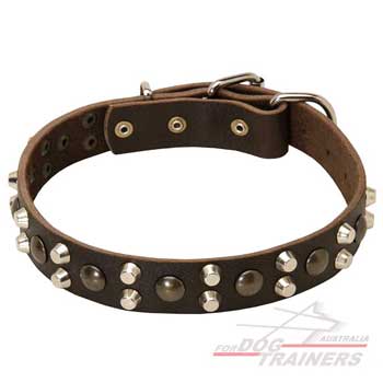 Leather collar with pyramids and studs