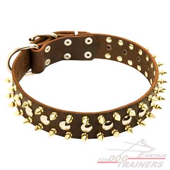 Fashionable leather Spiked dog collar with fancy adornment