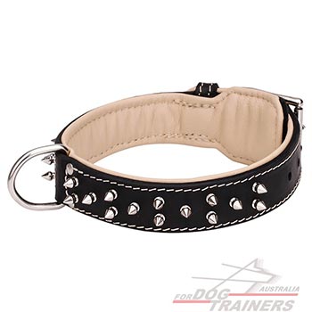 Spiked Dog Collar Nappa Leather Padded