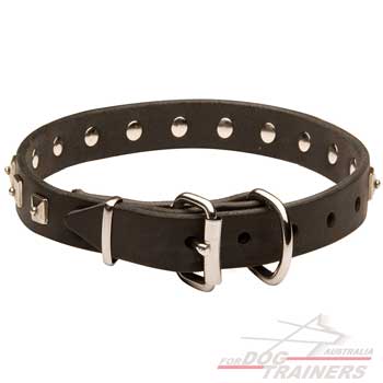 Leather Dog Collar with Silvery Square Studs