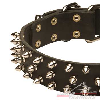 Spiked Leather Canine Collar for Fashionable Walking