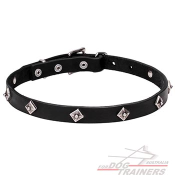 Elegant leather dog collar with studs