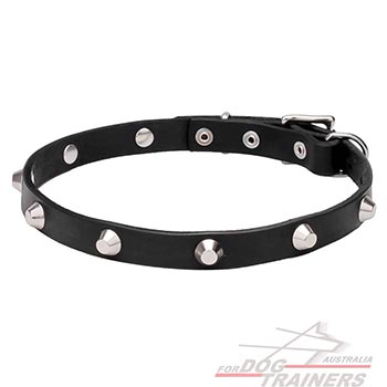 Chrome plated pyramids for leather dog collar