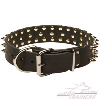 Leather Collar for Dog Daily Walks