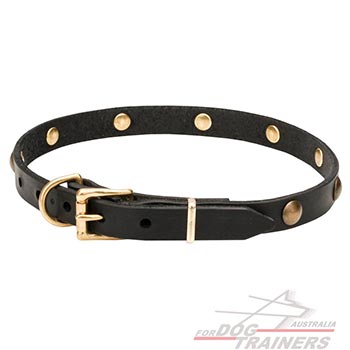 Full grain natural leather dog collar with brass studs