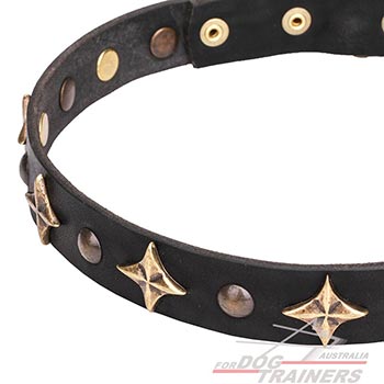 Everyday use leather canine collar with decorations