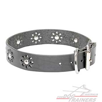 Steel nickel plated hardware on decorated black leather collar for dogs