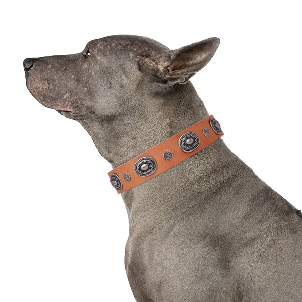 Full grain leather dog collar with durable buckle and D-ring for daily use