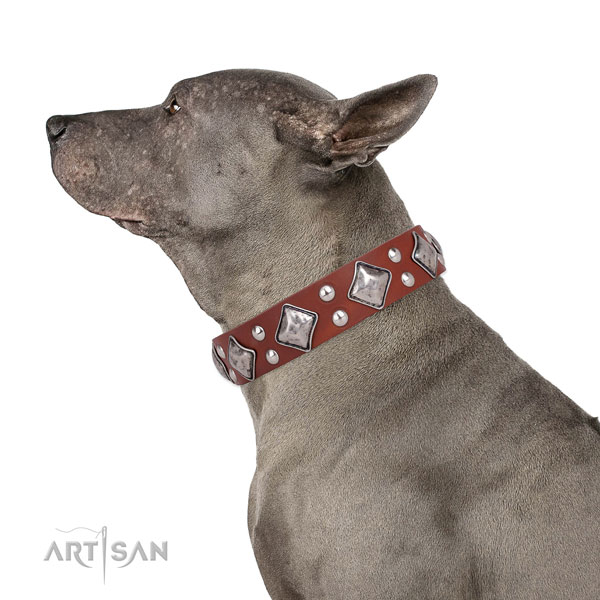 Handy use adorned dog collar made of durable genuine leather