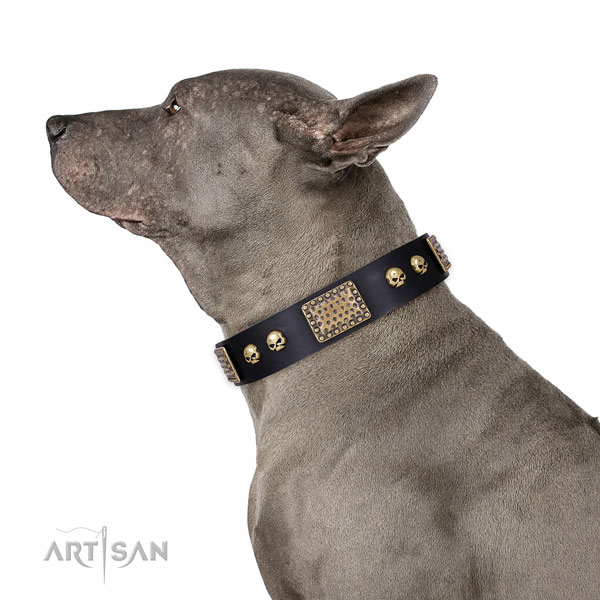 Corrosion proof D-ring on natural genuine leather dog collar for everyday walking