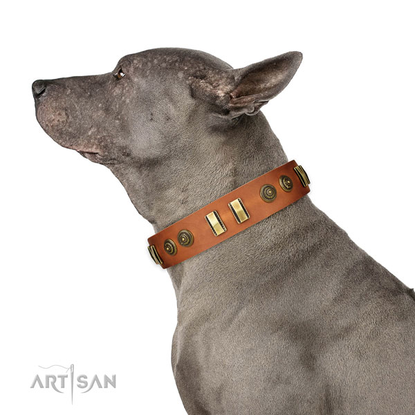 Durable hardware on full grain leather dog collar for walking