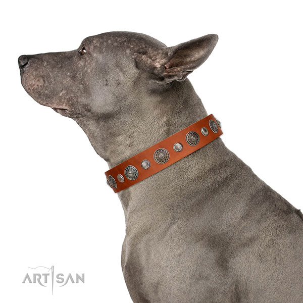 Easy adjustable natural leather dog collar with rust resistant hardware