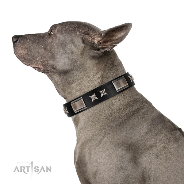 Comfortable wearing top notch leather dog collar with decorations