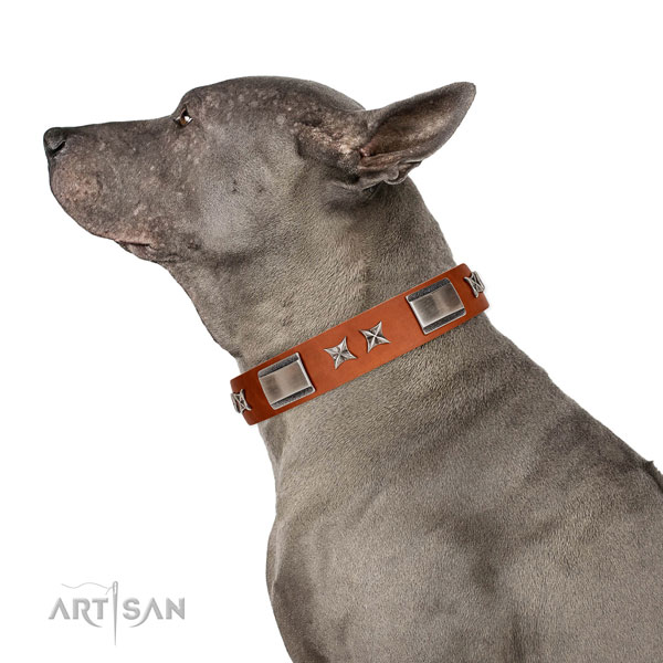 Easy wearing soft to touch genuine leather dog collar with embellishments