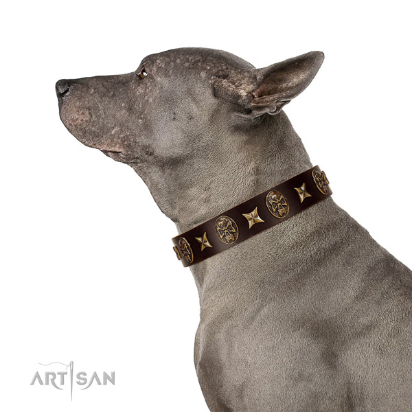 Exquisite full grain genuine leather dog collar with decorations