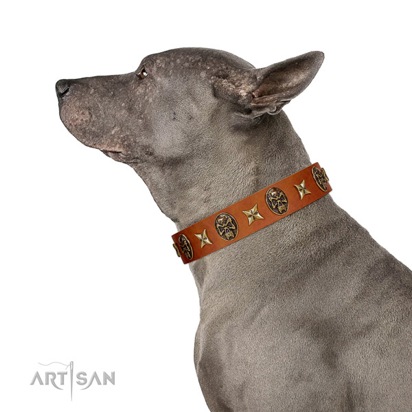 Stylish design full grain leather dog collar with decorations