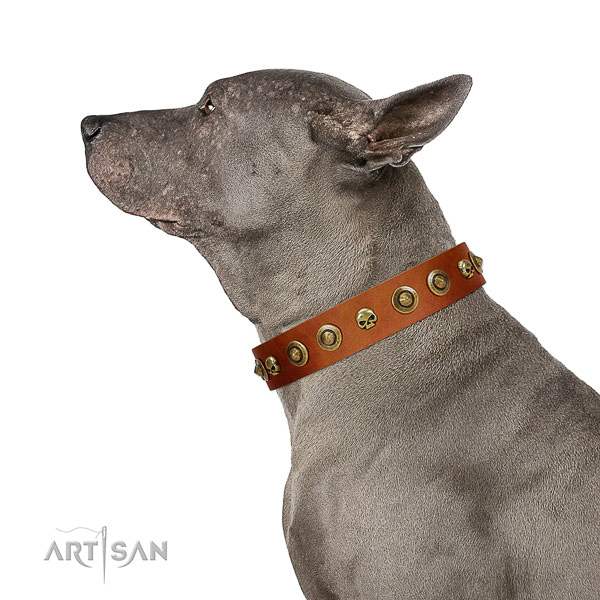 Flexible leather dog collar with adornments for your pet