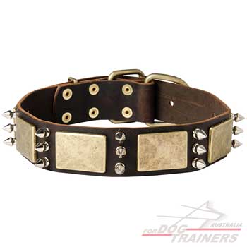 Unique dog collar with combination of brass and nickel adornment