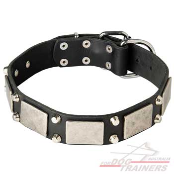 Vintage dog collar for your pet