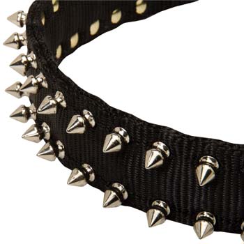 Nylon dog collar with 2 rows of spikes