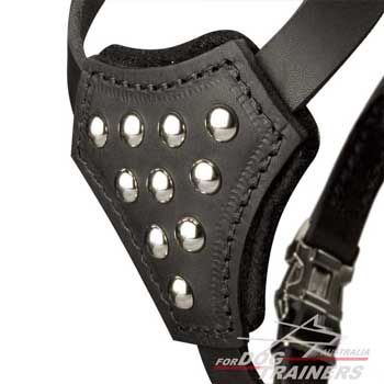 Amazing Leather Puppies Harness with Studded Breast  Plate