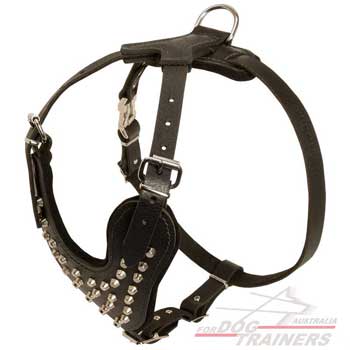Dog Studded Leather Harness Non-Toxic Cover