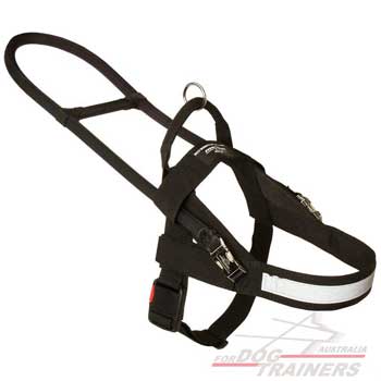 Easy adjustable nylon harness