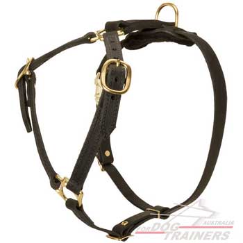 Dog-harness-leather