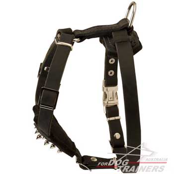 Stylish Hardware on Leather Canine Harness Padded with Felt
