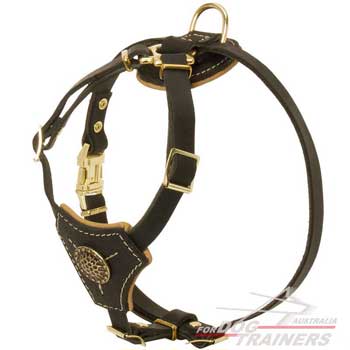 Leather Puppy Harness Adjustable Straps