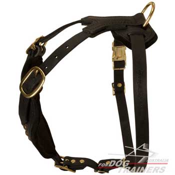 Straps of Leather Harness Does not Rub