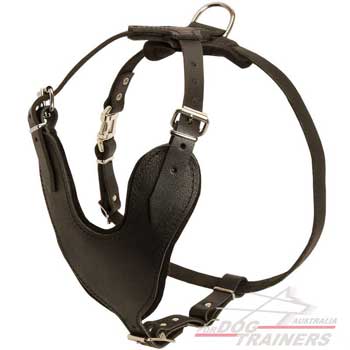 Harness with wide chest plate for attack training