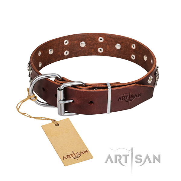 Stylish walking dog collar of best quality natural leather with decorations