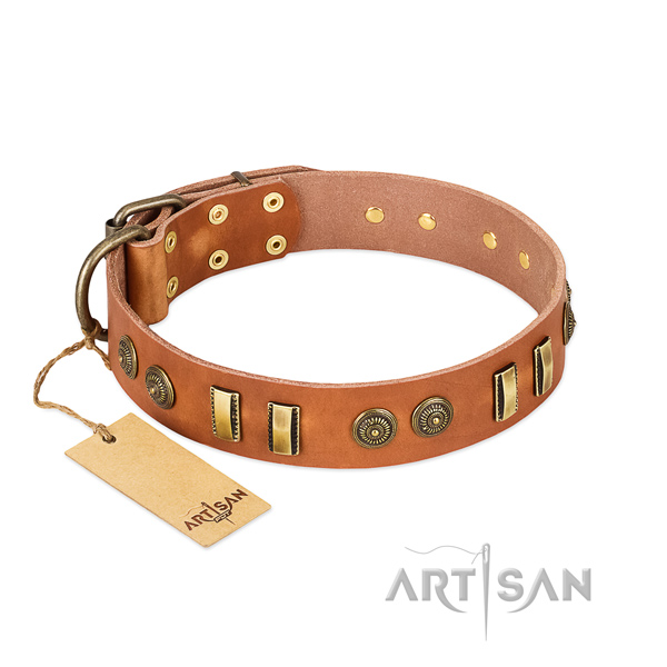 Strong studs on full grain natural leather dog collar for your canine