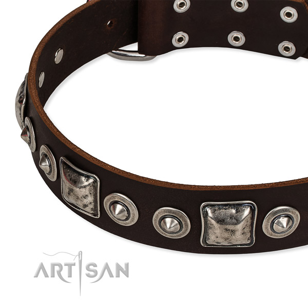Leather dog collar made of quality material with embellishments