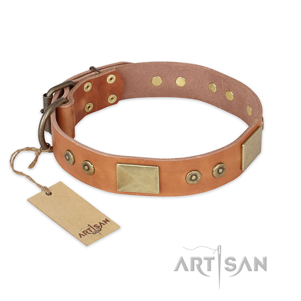 Studded genuine leather dog collar for basic training