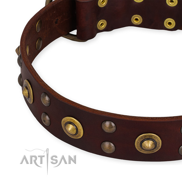 Genuine leather collar with rust-proof D-ring for your impressive dog