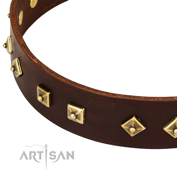 Extraordinary full grain genuine leather collar for your stylish pet