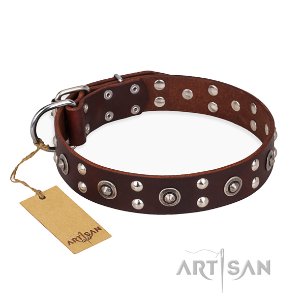 Comfy wearing embellished dog collar with strong hardware