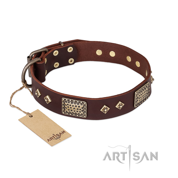 Unusual genuine leather dog collar for everyday use