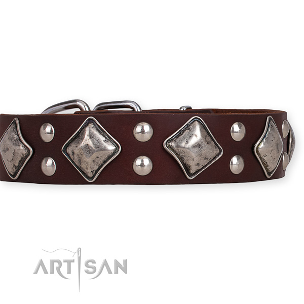 Full grain genuine leather dog collar with trendy corrosion proof adornments